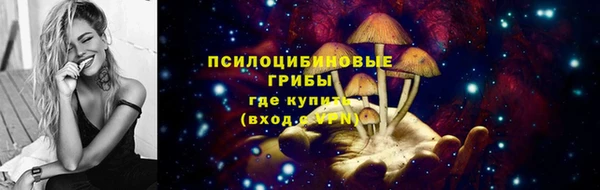 ГАЛЛЮЦИНОГЕННЫЕ ГРИБЫ Баксан