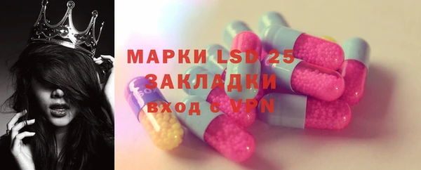 ГАЛЛЮЦИНОГЕННЫЕ ГРИБЫ Баксан