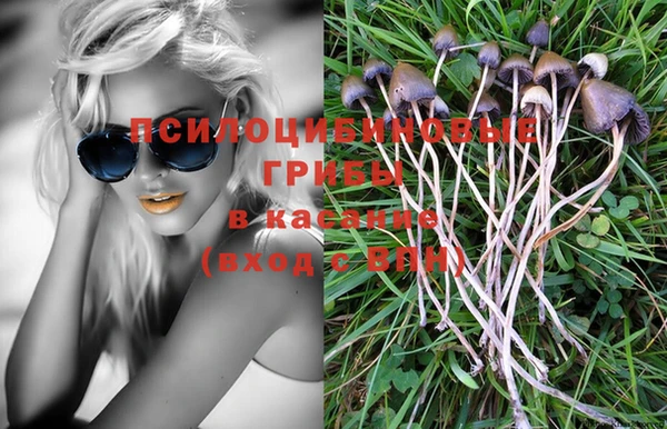 дмт Балахна