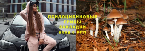 дмт Балахна
