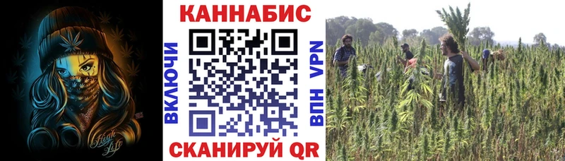 Бошки Шишки Amnesia Кувшиново